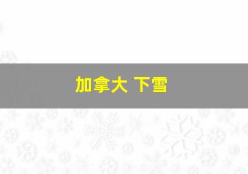 加拿大 下雪